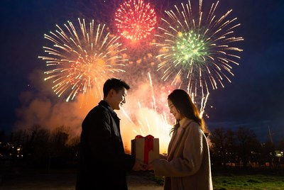 Couple celebrating with fireworks display