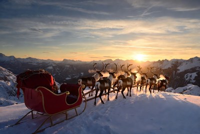 Reindeer pulling sled at sunset