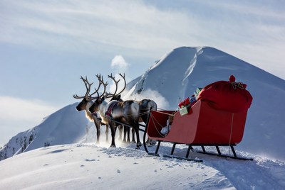 Reindeer pulling sled in winter