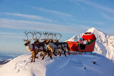 Reindeer sleigh on snowy peak