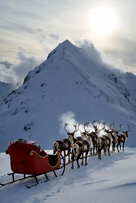 Reindeer pulling sled on snowy mountain