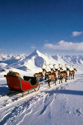 Reindeer pulling sleigh in snowy mountains