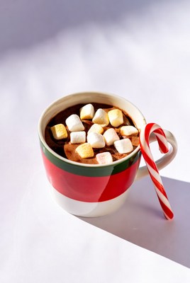 Delicious hot chocolate with marshmallows