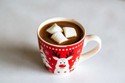 Warm cup of cocoa with marshmallows