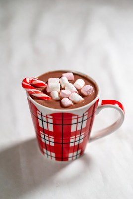 Holiday hot chocolate with marshmallows