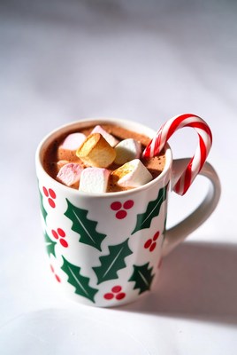 Holiday hot chocolate delight