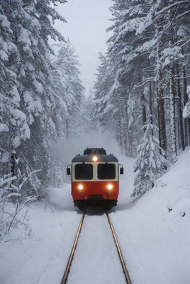 Train journey through snowy forest