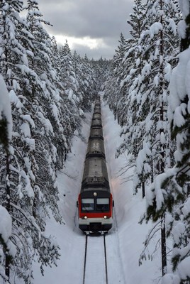 Scenic train journey through winter forest