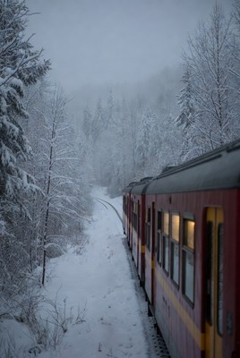 Train journey through snowy forest