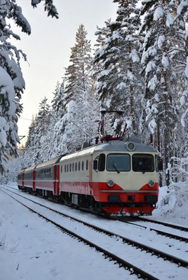 Train traveling through snowy forest