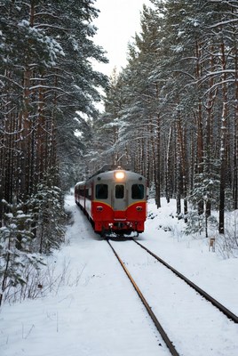 Snowy train journey through forest
