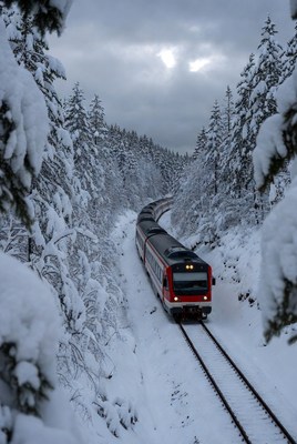 Train journey through winter landscape