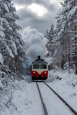 Snowy train journey through winter woods