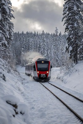 Snowy train journey through pine forest