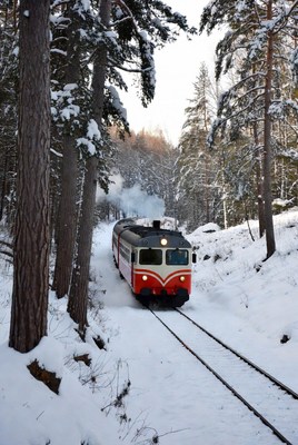Winter train journey through snowy forest