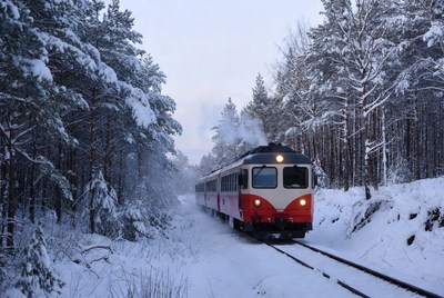 Snowy train traveling through forest