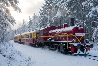 Winter train journey in snowy forest
