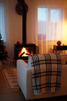 Cozy living room with fireplace and tree