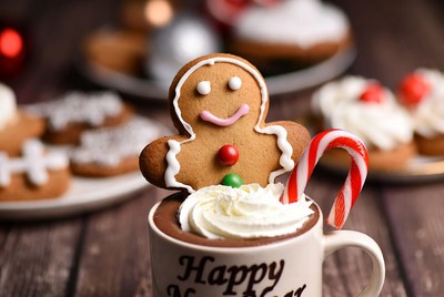 Gingerbread cookie with hot chocolate