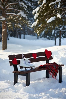 Winter skating scene on a bench