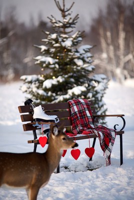 Winter scene with deer and skates