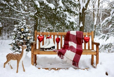Winter scene with skates and deer