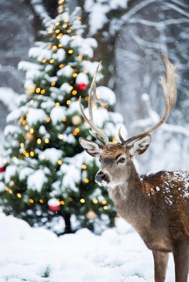 Deer beside snowy christmas tree