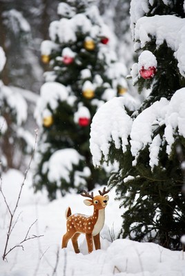 Winter scene with reindeer decoration