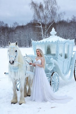 Winter princess with icy carriage