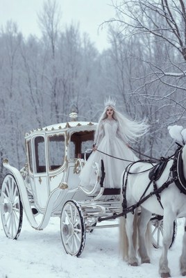 Winter princess in a snowy landscape