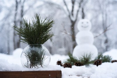 Winter scene with snowman and pine