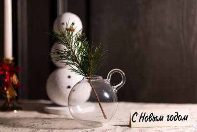Holiday decor with pine branch