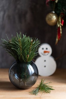 Winter decoration with pine and snowman