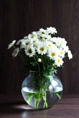 Bright white daisies in glass vase