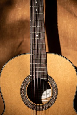 Guitar close-up against warm background