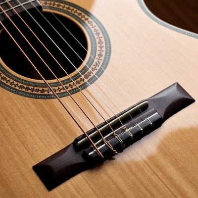 Close-up of guitar strings and bridge