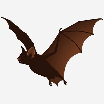 Brown bat flying in the night sky