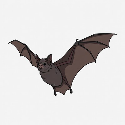 Bat in mid-flight scene