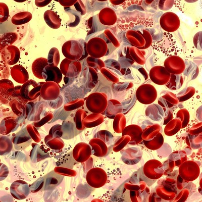 Red blood cells in motion
