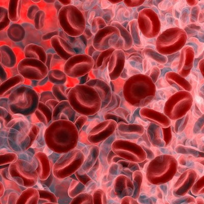 Red blood cells in motion