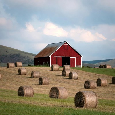 Red barn with hay bales in field