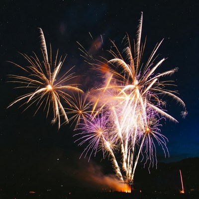 Colorful fireworks display at night