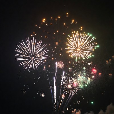 Fireworks display at night sky