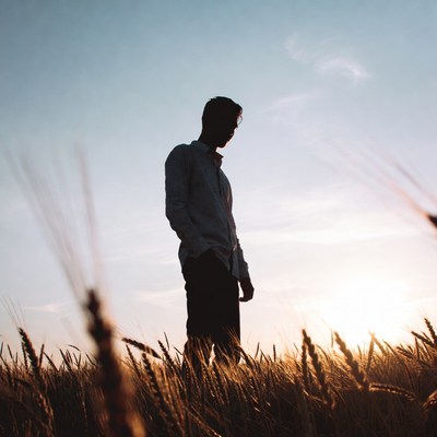 Silhouette of a person in a wheat field