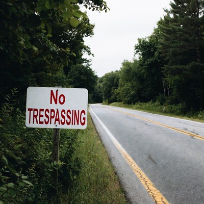 Warning sign near forest road