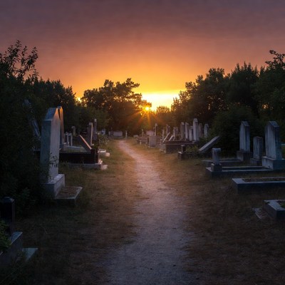 Sunset over the cemetery path