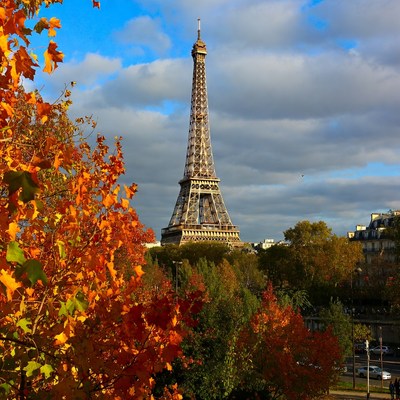Eiffel tower in autumn leaves