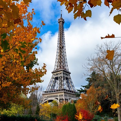 Eiffel tower among autumn leaves