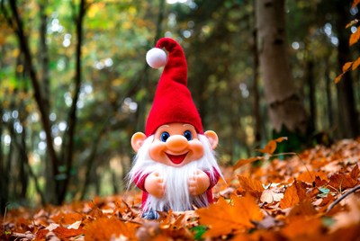 Gnome in autumn forest setting