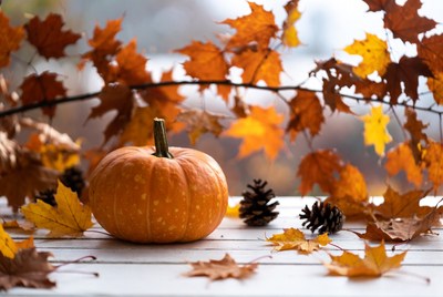Pumpkin and autumn leaves on table